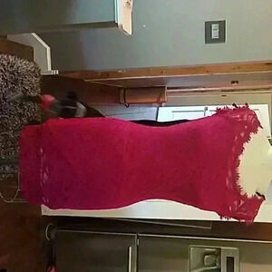 Mulberry lace dress